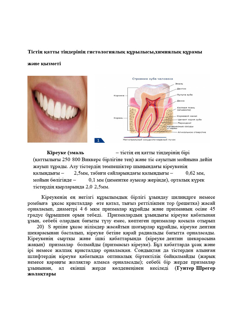 Дик фотодағы шарлар