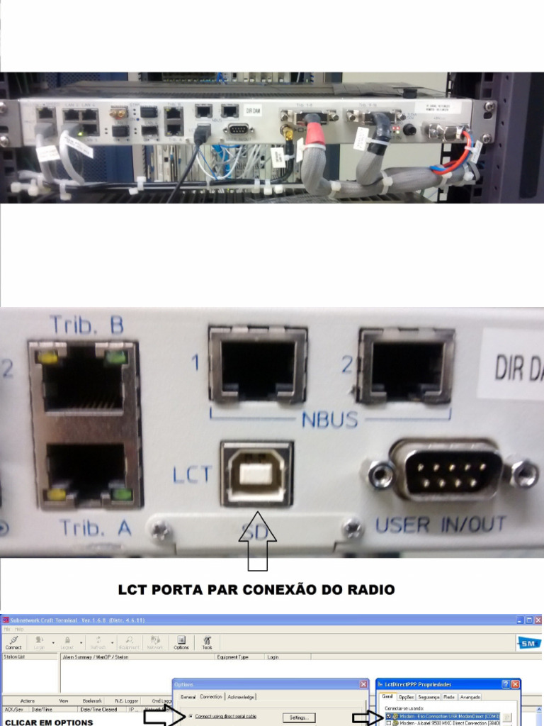 Siae | PDF