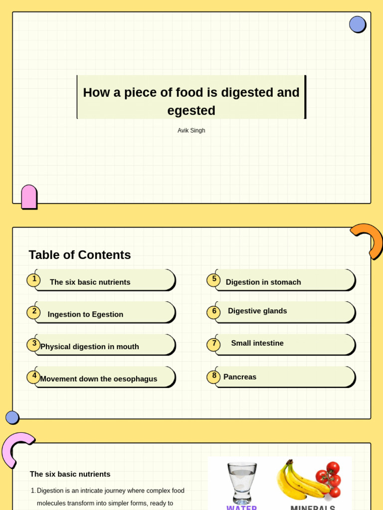 Human Nutrition | PDF | Digestion | Small Intestine