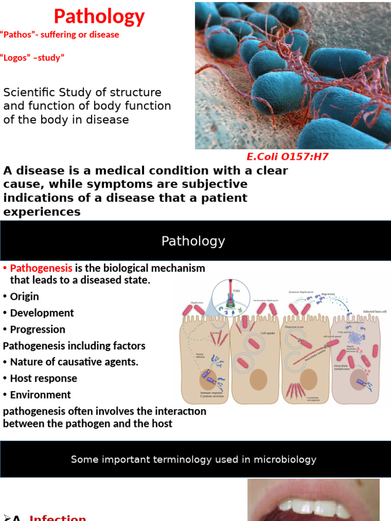 chapter 1 | PDF | Infection | Pathogen