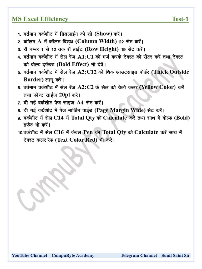 Excel Efficiency Test in Hindi | PDF