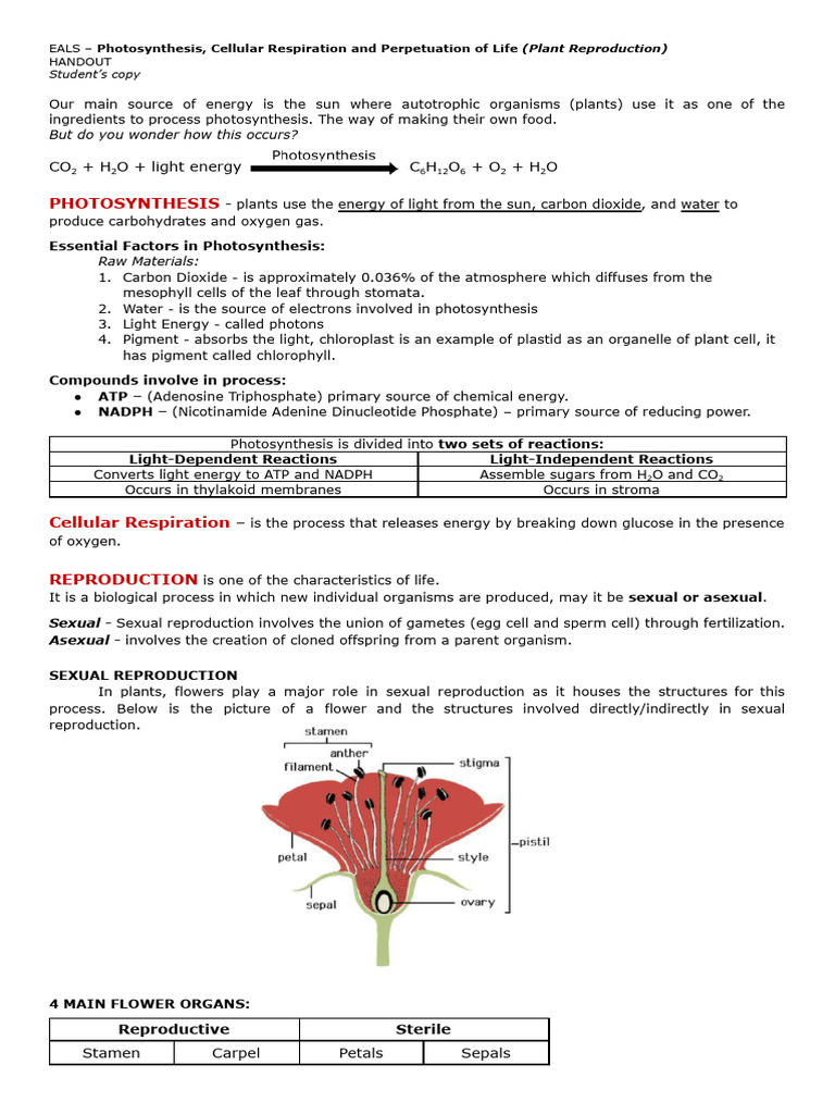 Photosynthesis Cellular Respiration and Plant Reproduction | PDF ...