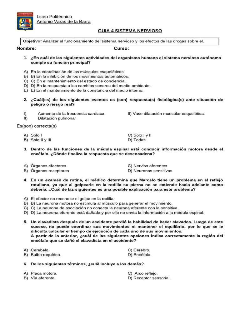 Guia 4 Sistema Nervioso | PDF | Sistema nervioso | Neurona