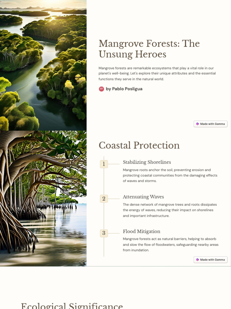 Mangrove Forests The Unsung Heroes | PDF | Mangrove | Coast