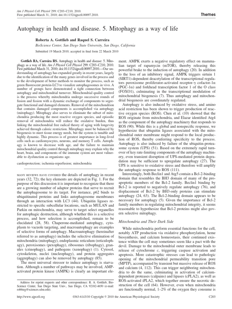 Gottlieb and Carreira, 2010.autophagy in Health and Disease. 5 ...