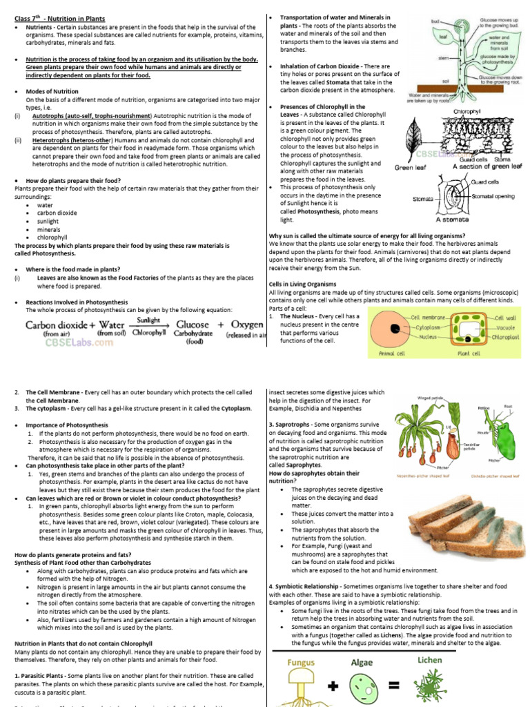 Nutrients class 7 pdf nutrition diet nutrition