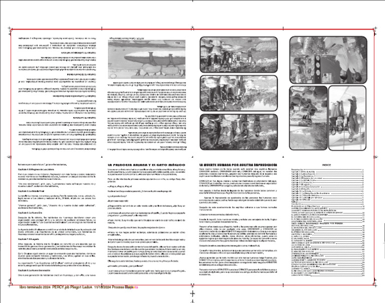 Libro Terminado 2024 15 X 21 PERCY | PDF