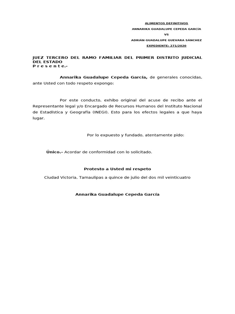 Acuse de Recibo INEGI - Expediente 271/2020 | PDF