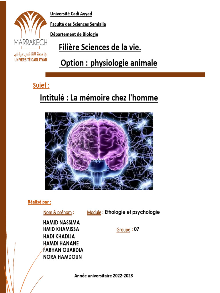 Étude sur la mémoire humaine et ses types | PDF | Hippocampe (cerveau ...