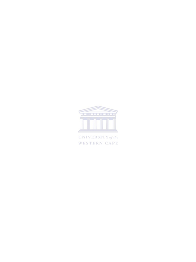 Bizana-Tutu MPHIL 2008 | PDF