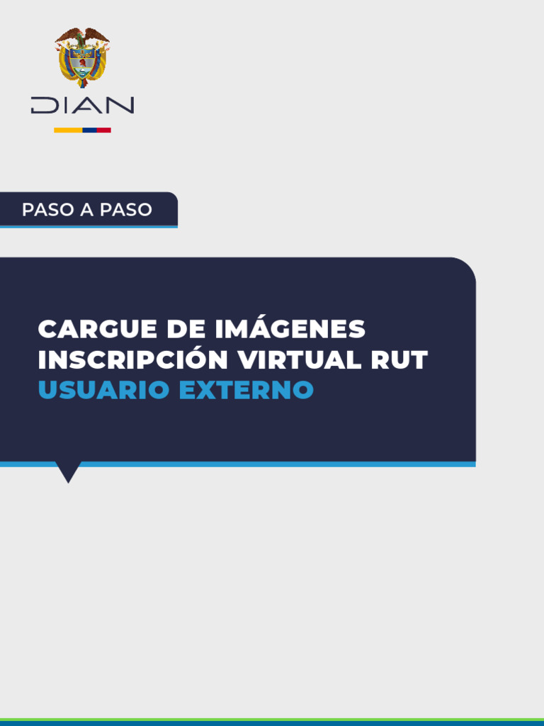 Carga de Imágenes para RUT Virtual | PDF | Píxel | Informática