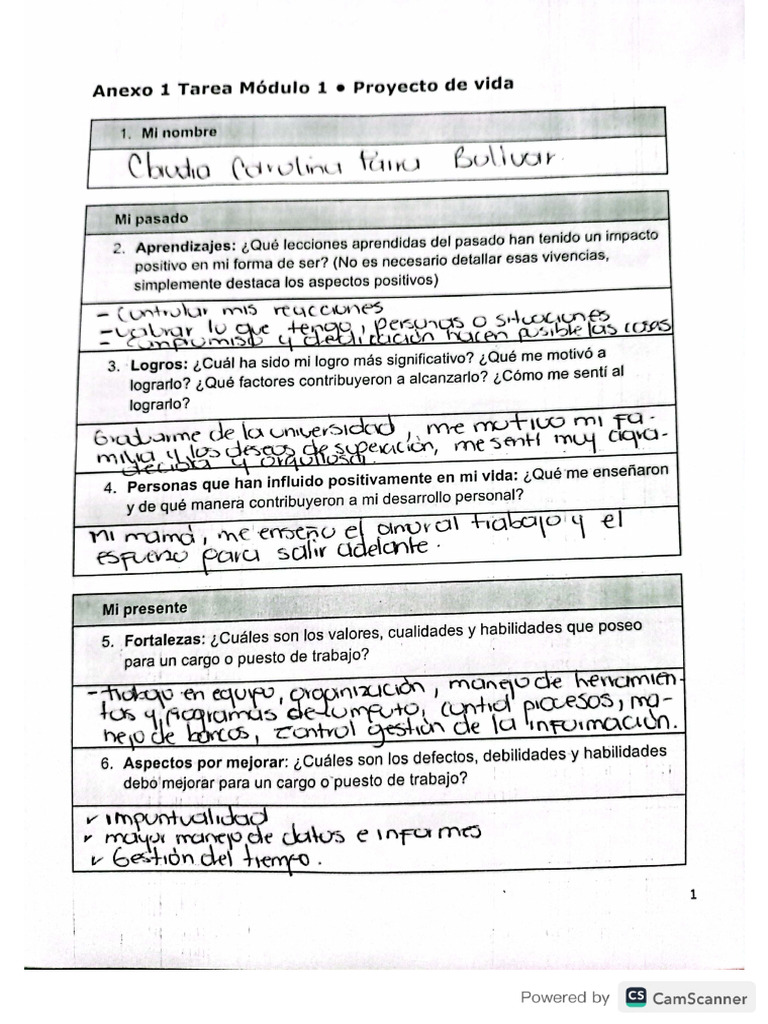 Tarea Módulo 1 Proyecto de Vida | PDF