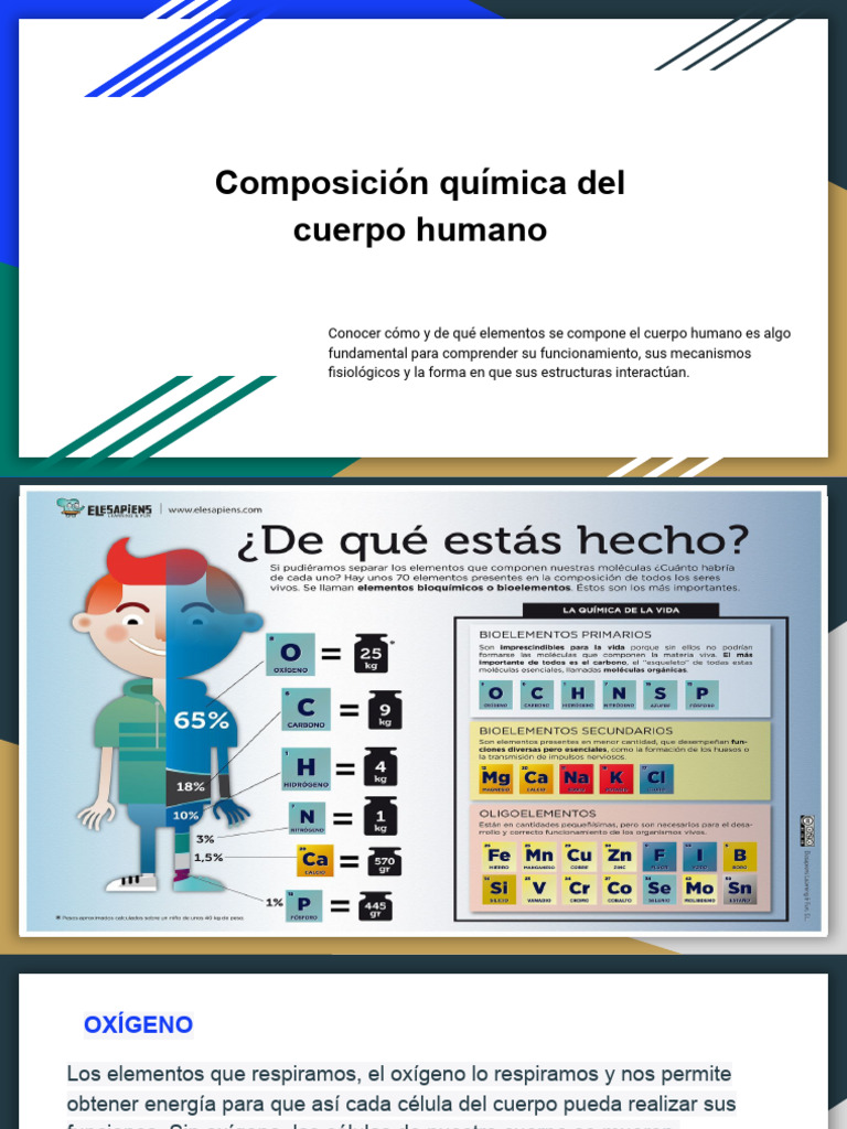 Composición química del cuerpo humano | PDF | Cuerpo humano | Sodio