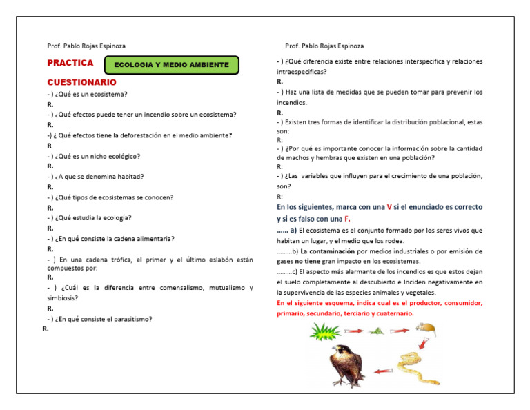 Cuestionario de Ecología Básica | PDF | Ecología | Entorno natural