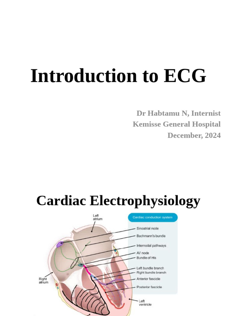 Introduction To ECG | PDF | Electrocardiography | Cardiac Muscle