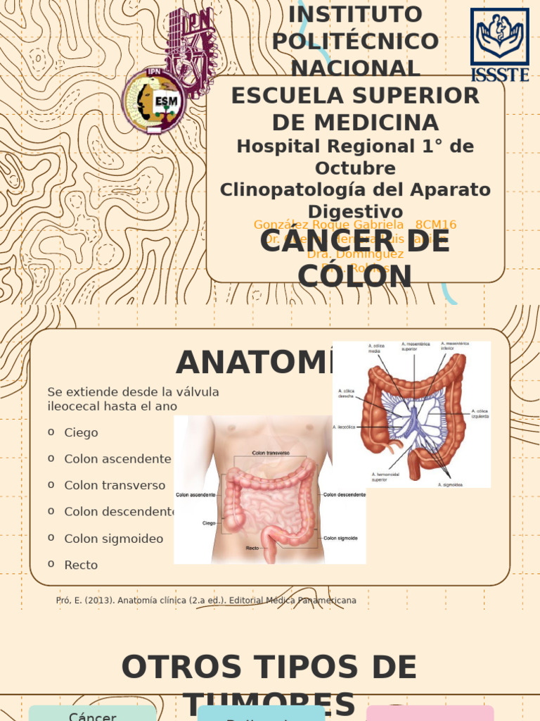 Cáncer de Cólon | PDF | Intestino grueso | Cáncer colonrectal