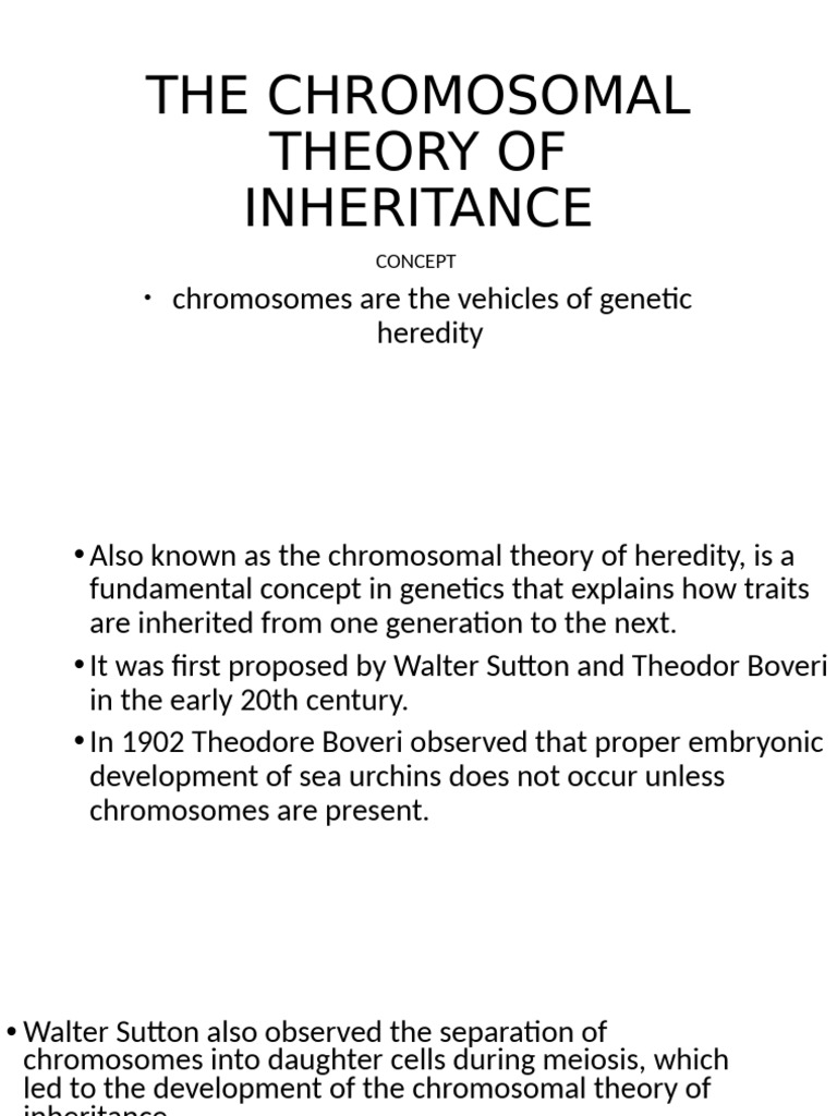 Chromosomal Theory of Inheritance Explained | PDF | Heredity | Genetics