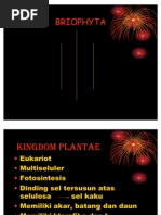 Download Lumut Dan Paku by Kagami Gari Lindo SN80645067 doc pdf