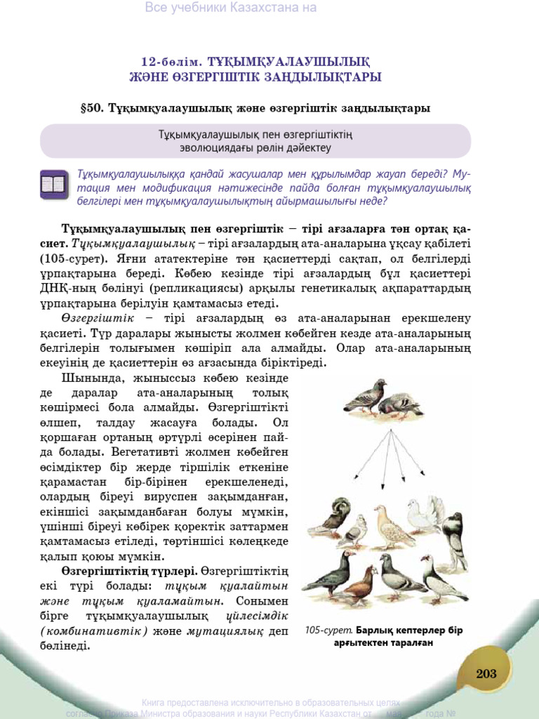 Орыс қыздарының трусисыз суреттері