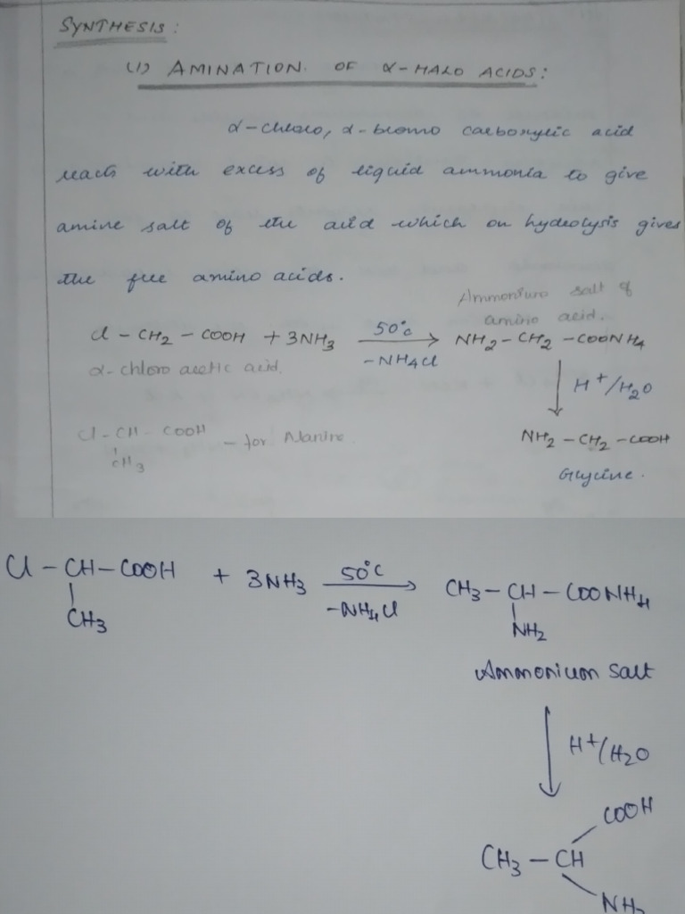 Synthesis of Amino Acids | PDF | Chemical Compounds | Organic Chemistry