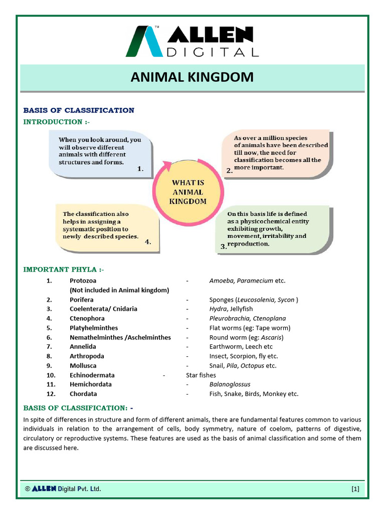 Animal Kingdom Classification Overview | PDF