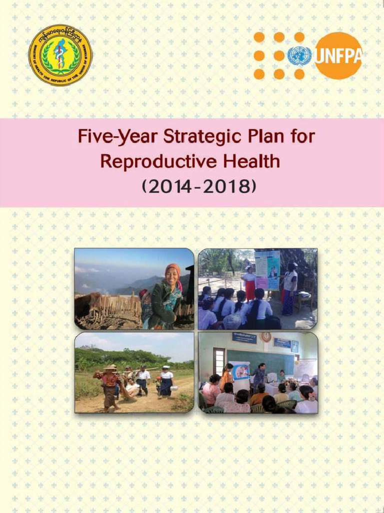 Core Doc Five-Year Strategic Plan For Reproductive Health 2014-2018 | PDF