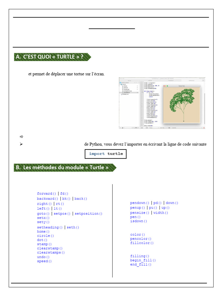 Introduction à Turtle en Python | PDF | Programmation informatique ...