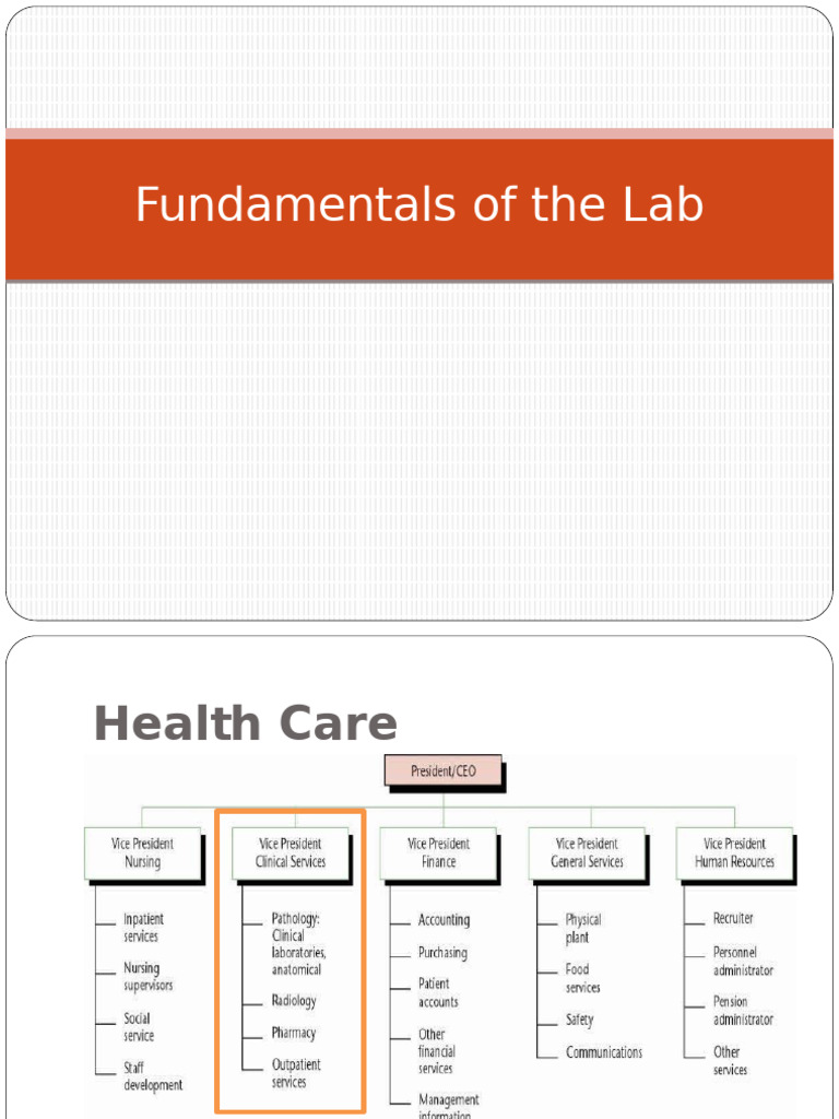 Clinical Laboratory Fundamentals Guide | PDF | Medical Laboratory ...