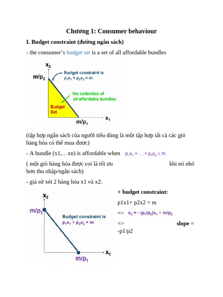 Chương 1 VI Mô Cs | PDF
