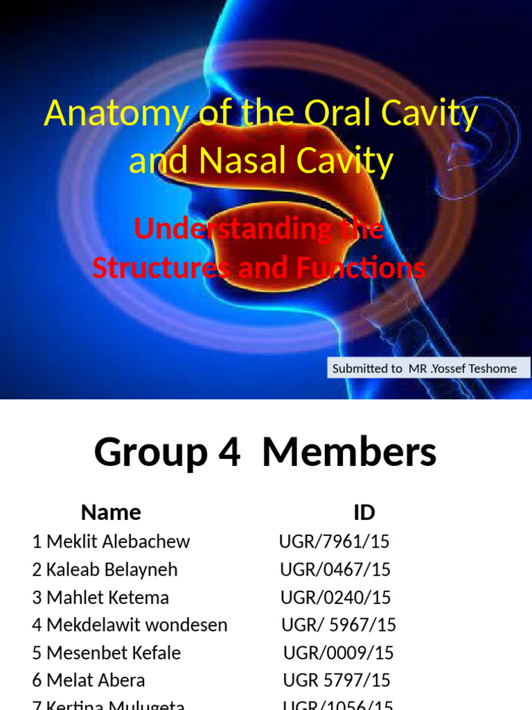 Anatomy of the Oral and Nasal Cavities | PDF | Human Nose | Respiratory ...