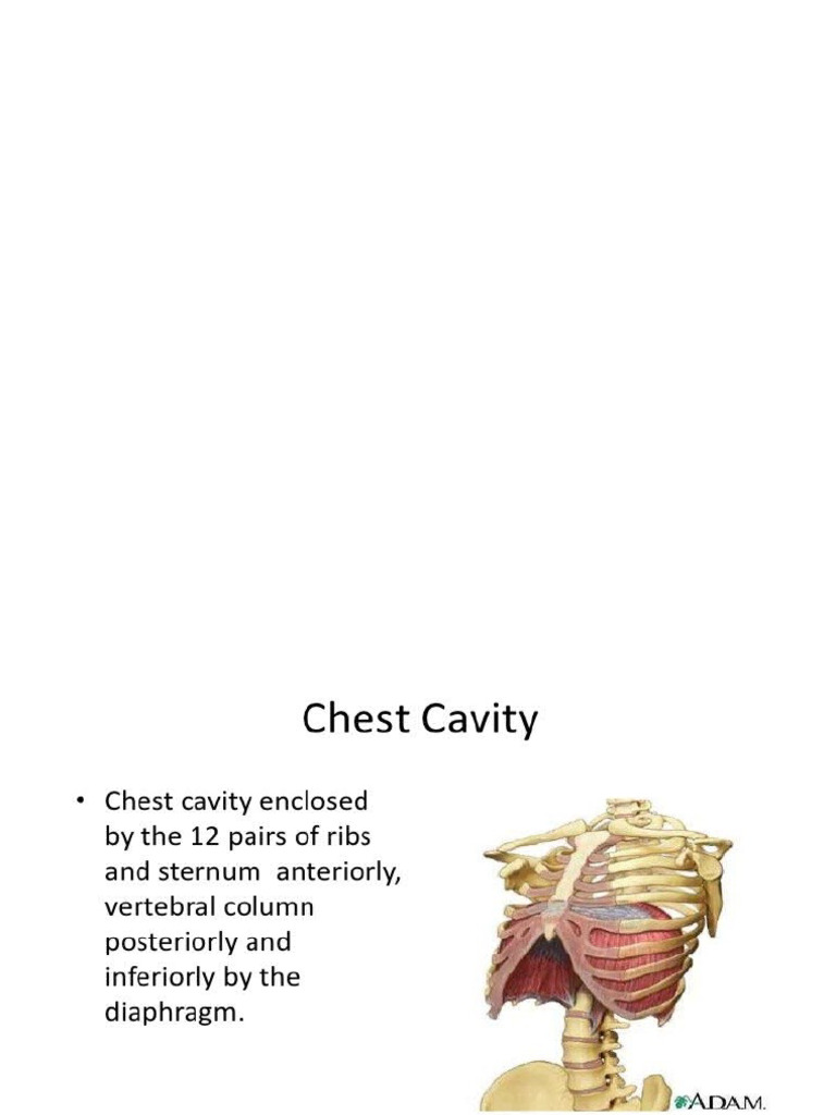 4 Lection Empyema Of Pleura Pdf