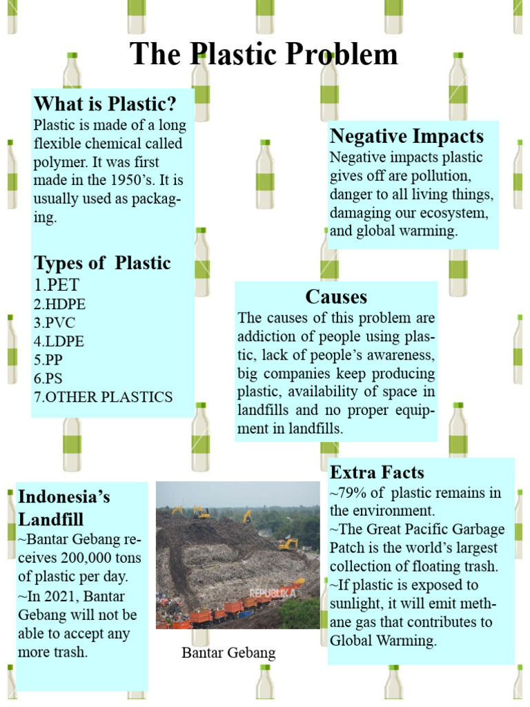 Understanding the Plastic Crisis | PDF | Plastic | Waste