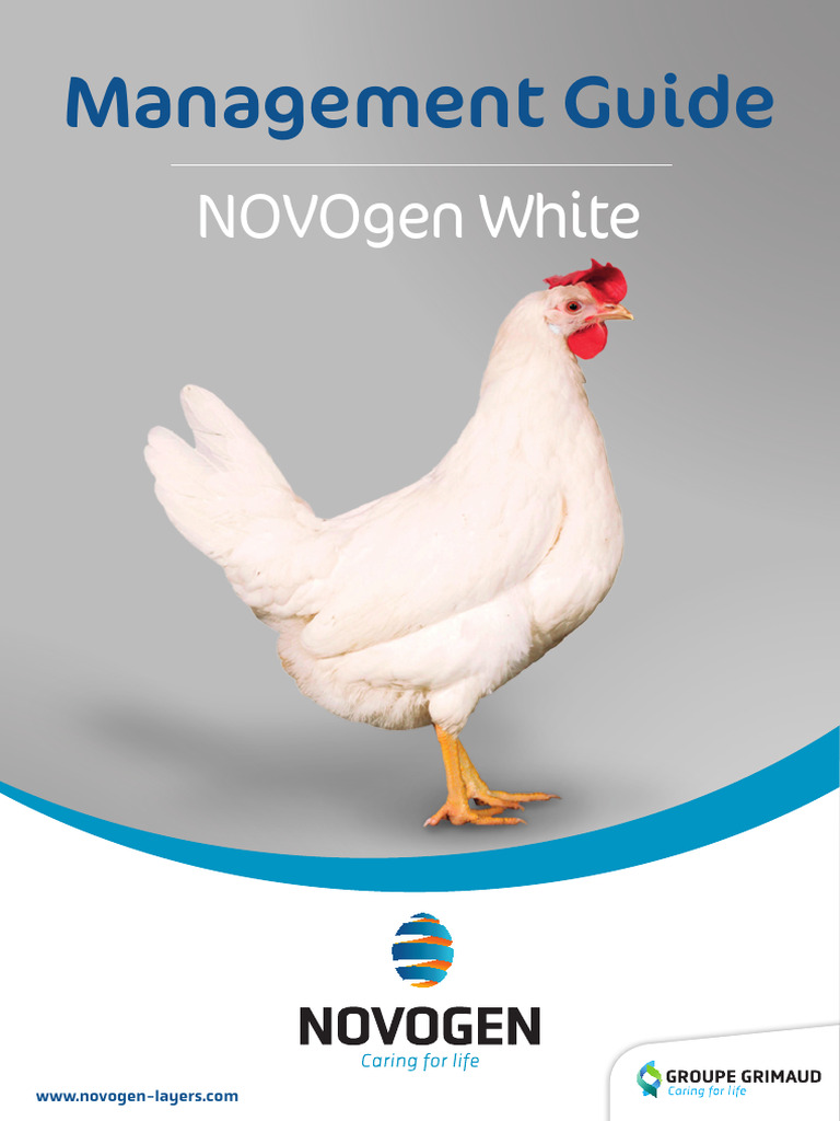 NOVOgen White Layer Management Guide | PDF | Birds | Chicken