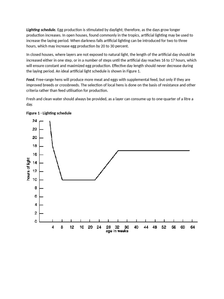 Lighting Schedule | PDF