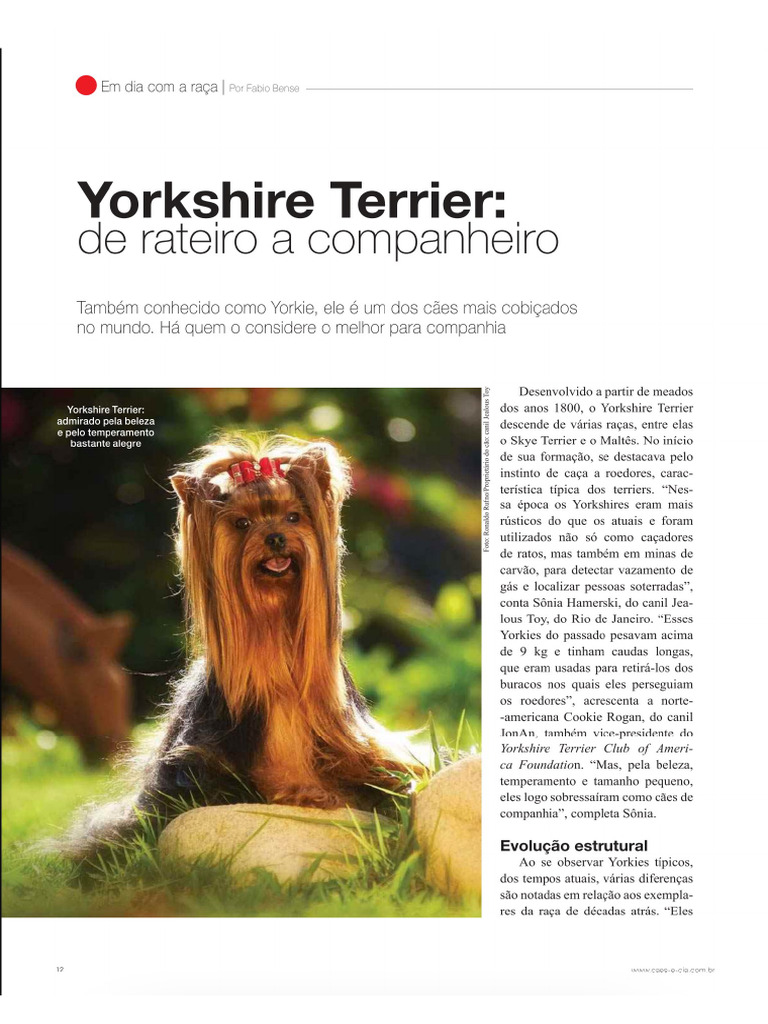 Yorkshire | PDF