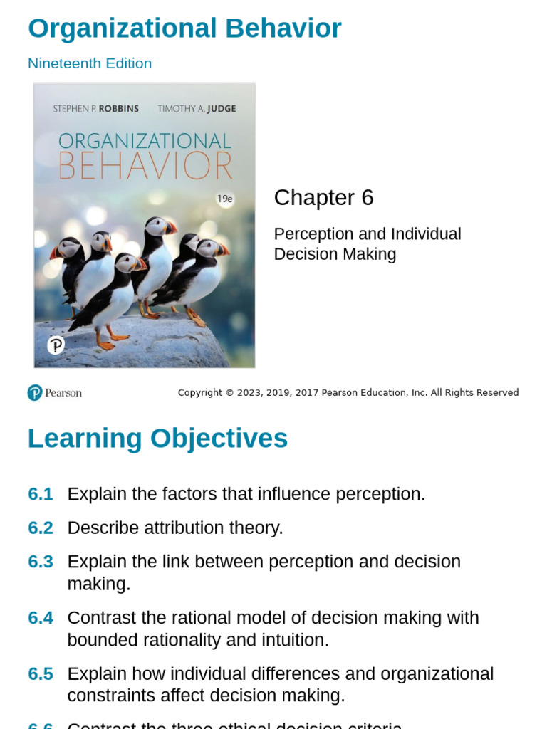 Perception and Individual Decision Making | PDF | Decision Making ...