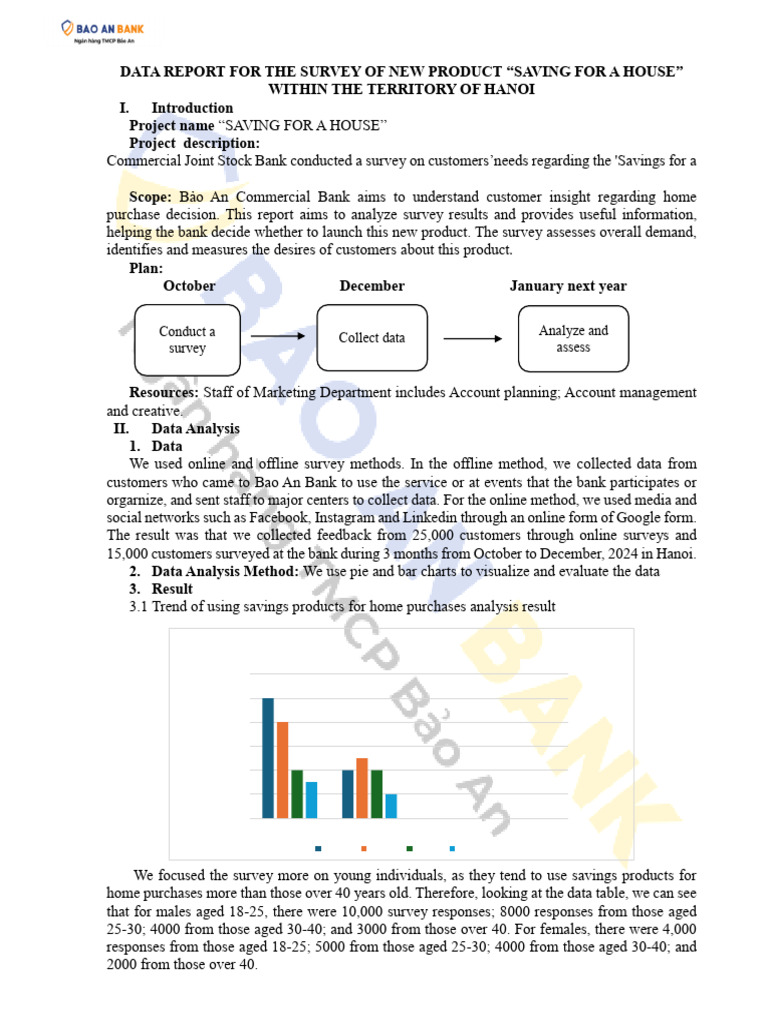 Data Report Bao An Bank | PDF | Banks | Data Analysis