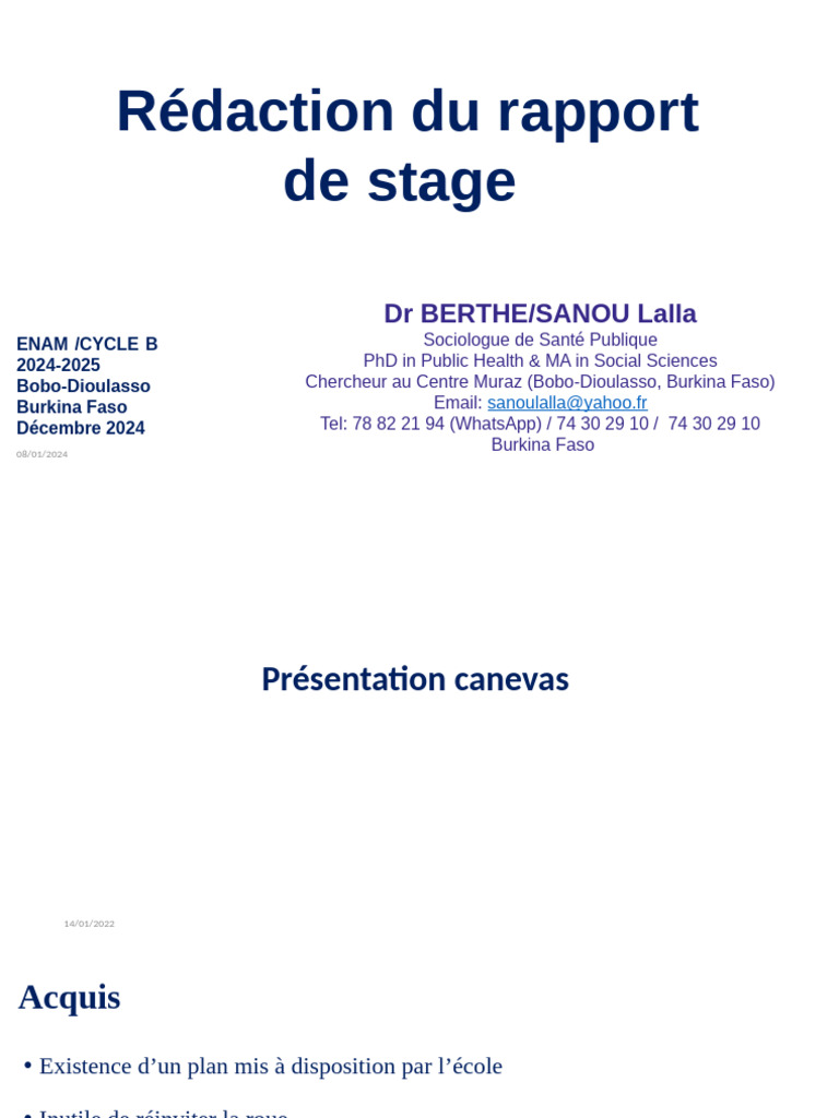 Guide de rédaction rapport de stage | PDF | Business | VIH