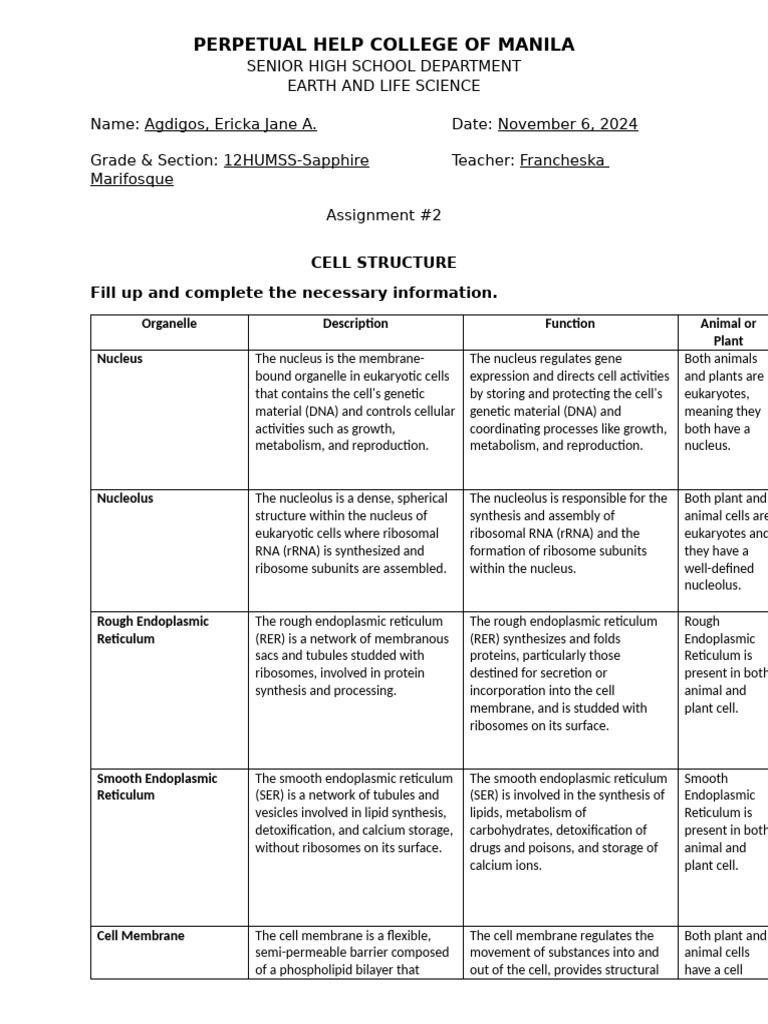 ASS2-CELL-STRUCTURE Docx 2 | PDF | Endoplasmic Reticulum | Cell (Biology)