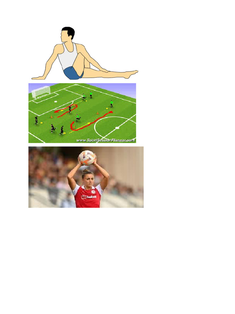 PT | PDF