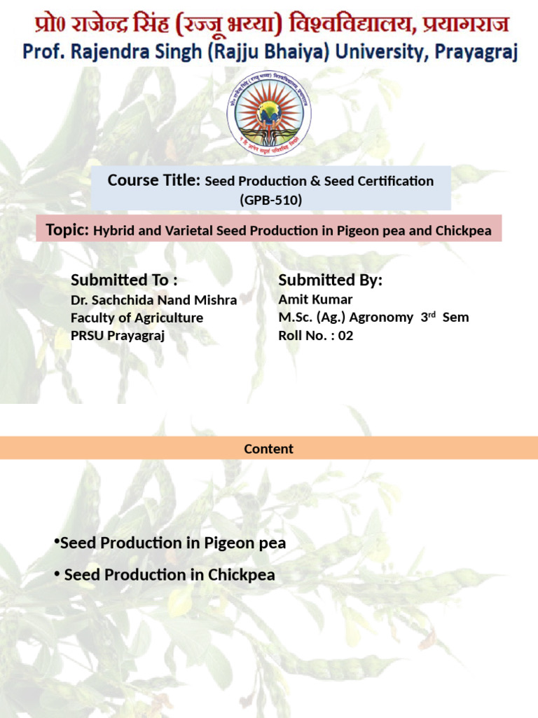 Hybrid Seed Production In Chickpea And Pigeon Pea Pdf Chickpea Legume