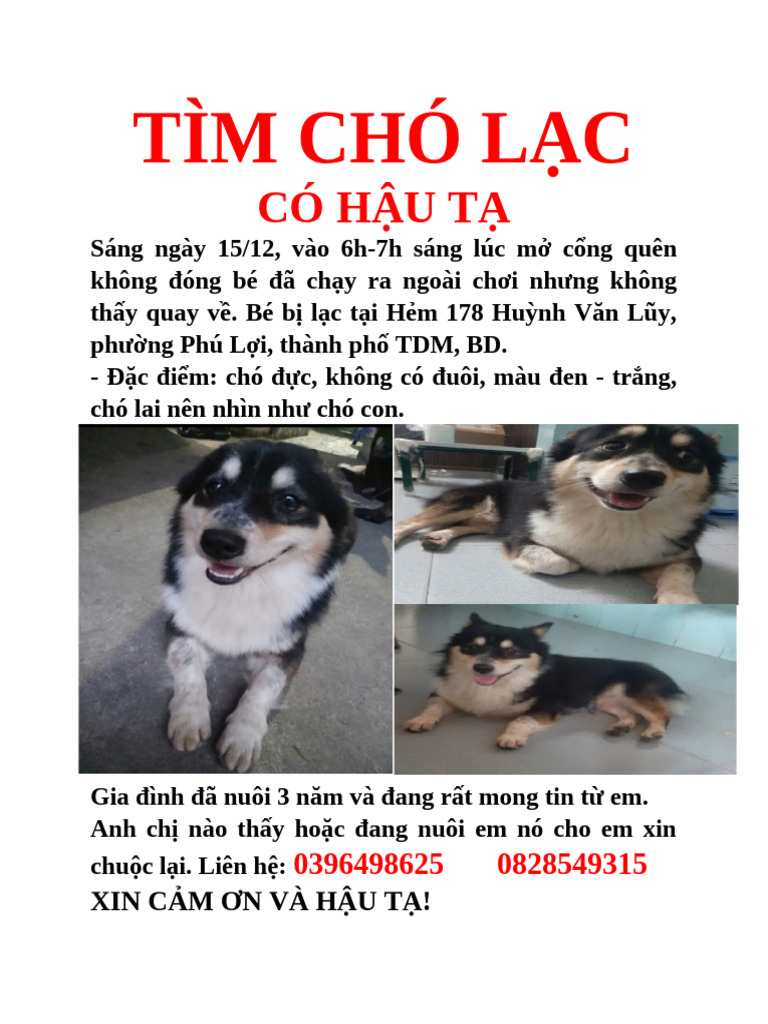 Tìm Chó L C | PDF