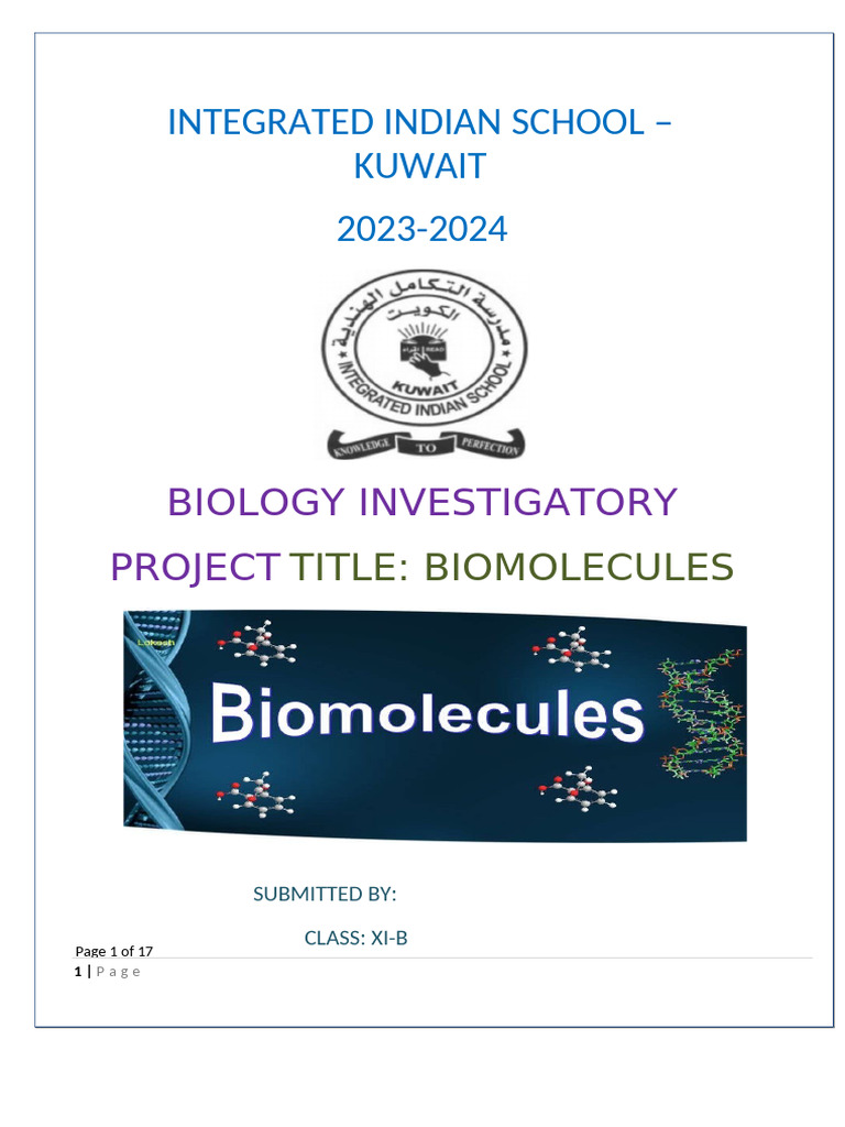 Class 11 Biology Project: Biomolecules | PDF | Nucleotides | Rna