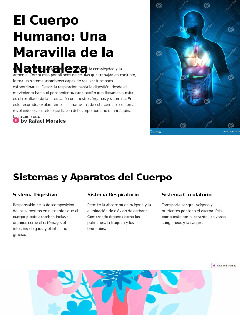 El Cuerpo Humano Una Maravilla de La Naturaleza | PDF | Sistema ...