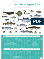 Aquaculture Species