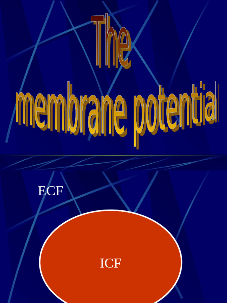 Membrane potential pdf membrane potential depolarization