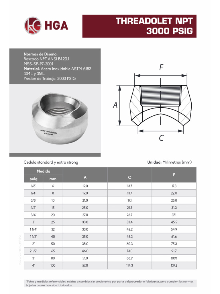 Hoja Tecnica Threadolet | PDF