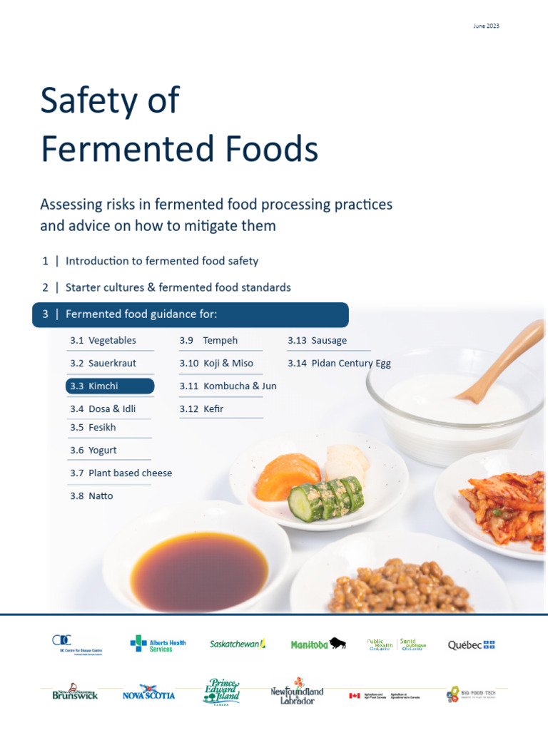Kimchi Safety Guidelines and Risks | PDF | Fermentation In Food ...