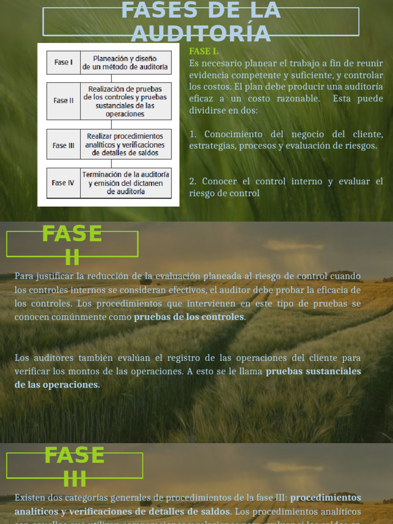 Fases Clave de la Auditoría Financiera | PDF | Auditoría | Estado ...