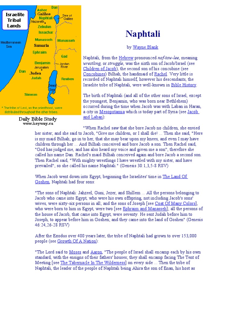 Naphtali: Tribe and Biblical Significance | PDF | Jacob | Rachel